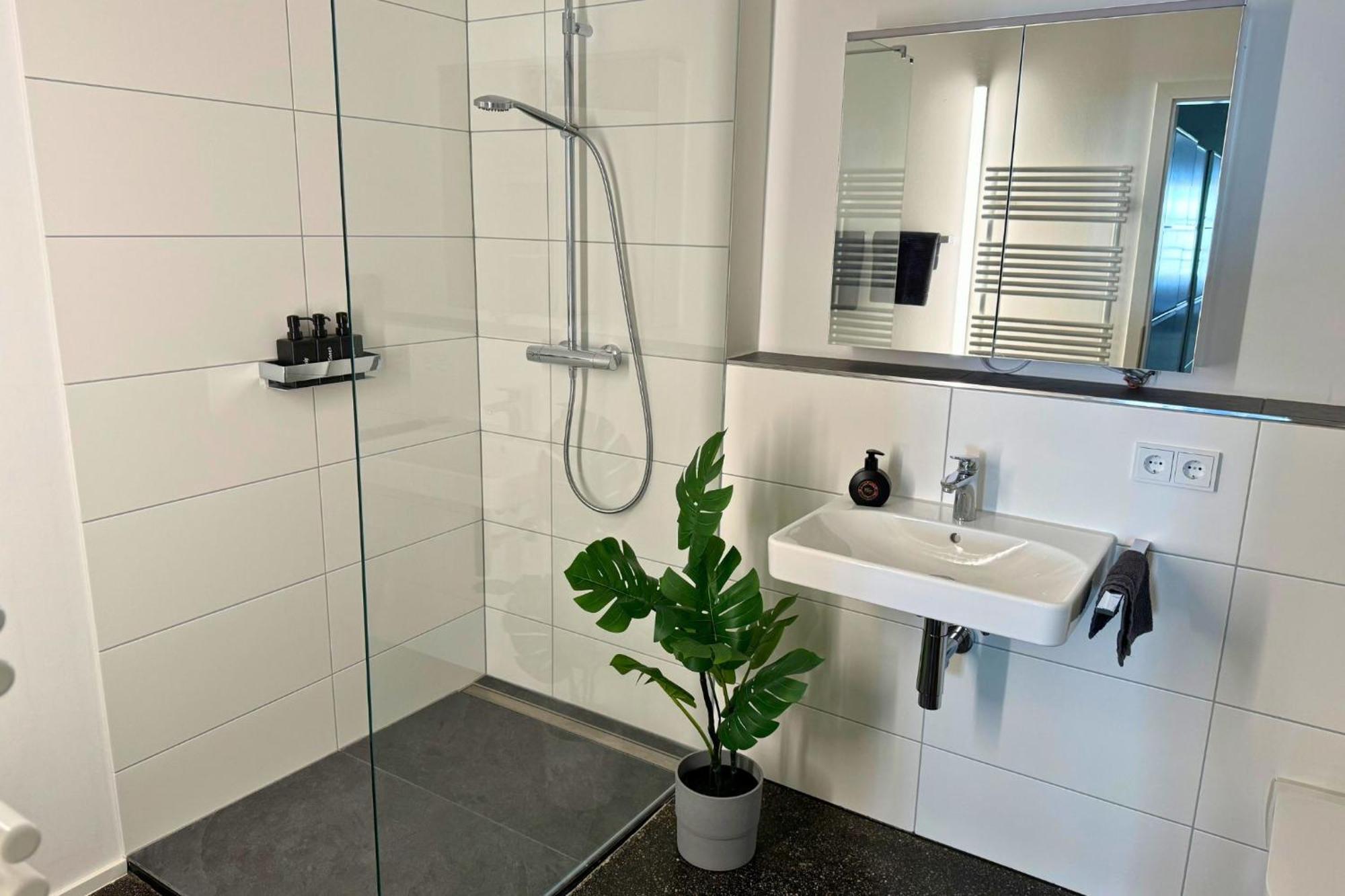 Isaak Apartment Stadtperle Валдсхут-Тинген Екстериор снимка