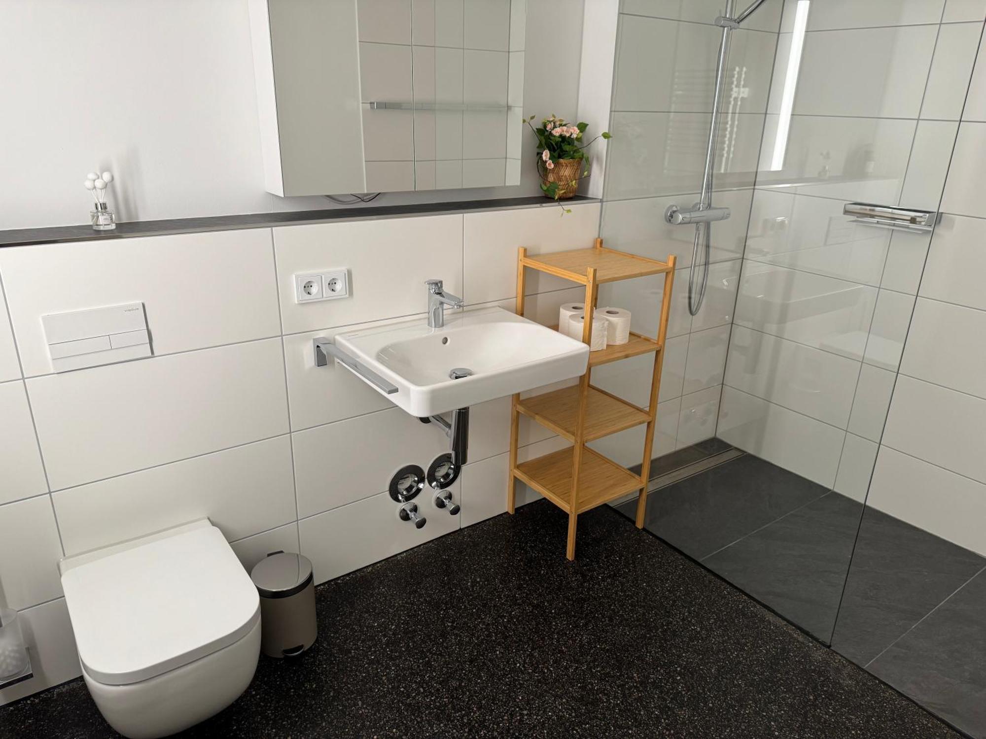Isaak Apartment Stadtperle Валдсхут-Тинген Екстериор снимка
